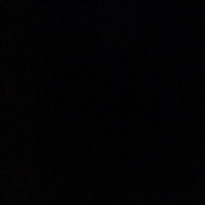 Meet your Posher, Annie